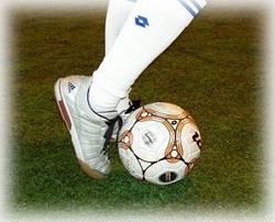 img_501377_13239520_0