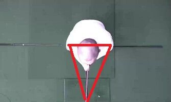 ¡Ê¥°¥ê¥Ã¥×¤Î°Üư¡¡¡ÁÀèü¤Ï¿¶¤ê¤Þ¤»¤ó_Moment(4)