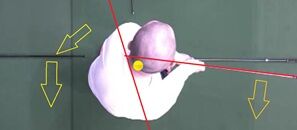 �ʥ���åפΰ�ư������ü�Ͽ���ޤ��� - frame at 0m6s