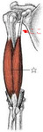 BlogPaint