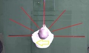 (グリップの移動 〜先端は振りません