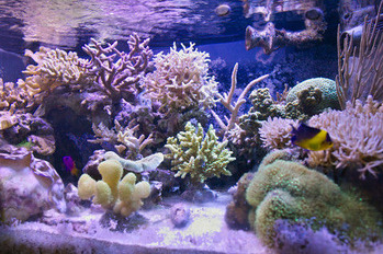 photo_6