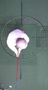 (グリップの移動 〜先端は振りません - frame at 0m2s