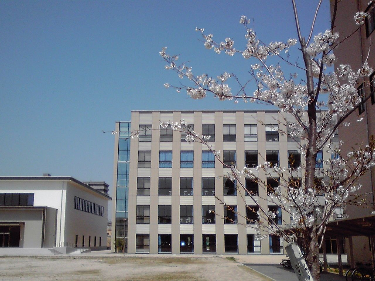 広島都市学園大学子ども教育学科ニュースリニューアル hcu子ども教育ニュース 広島都市学園大学子ども教育学科ニュースリニューアル hcu子ども教育ニュース