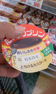 プリンを見るたびに思い出すのだけど 横山プリン さんは今 何をしているのだろうか m2的な毎日 プリンを見るたびに思い出すのだけど 横山プリン さんは今 何をしているのだろうか m2的な毎日
