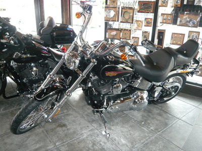 2010ǯ��FXSTC�о졪