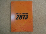 2013��������