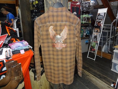 �����������