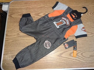 Harley-Davidson �٥ӡ����ܡ�����