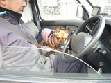 車に乗って〜♪
