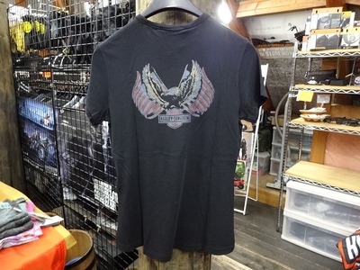 �ڎÎގ������Ԏ����¡�