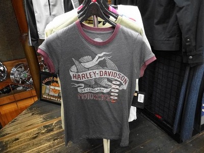 HD���ԥ����