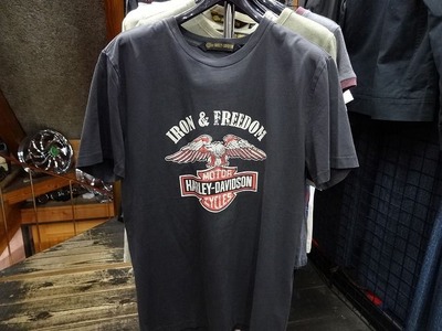 HD���ԥ����