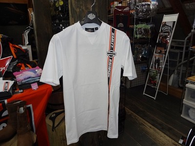 �����ʡ�