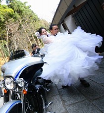 �嵐��������ɱ�����ä�����