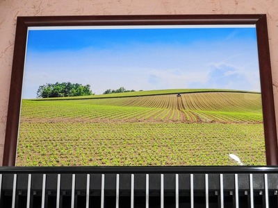 ���ͤζ�����ľ��