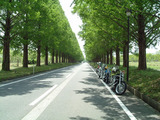 絢ツー3