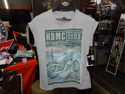 �����ʡ�