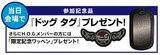 ��쵭ǰ�ʡ�