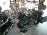 2009�إ�ƥ��������եƥ��롦���饷�å�