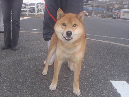 小次郎
