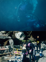 4d1a2eb6.jpg