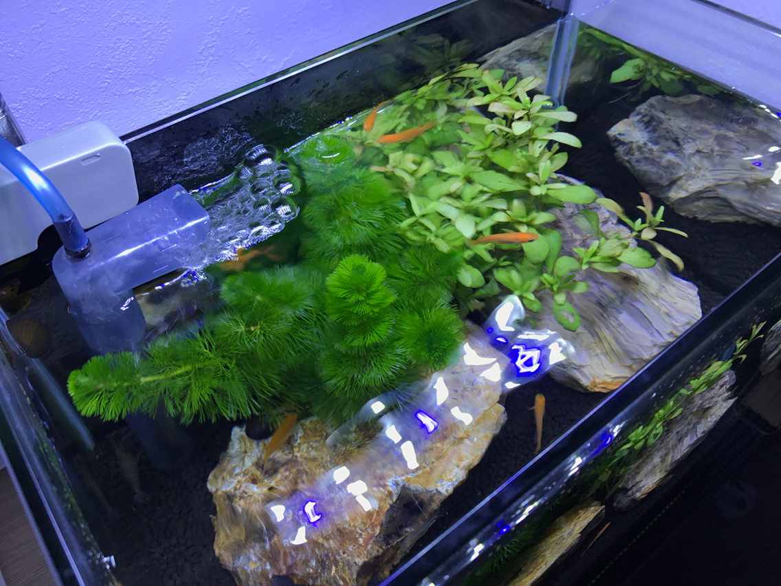 硬質塩ビシート黒 4cam Sporty Tsumoru S Blog Since 00 03 27