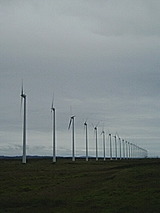 85152d73.jpg