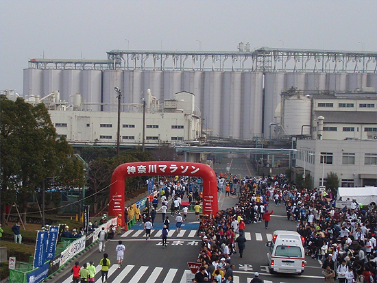 神奈川マラソン