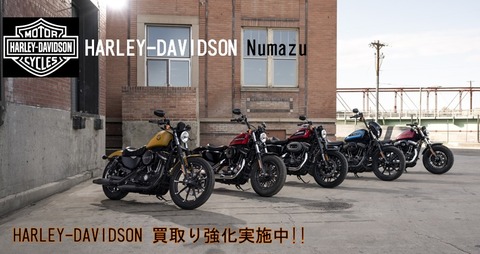 H-D強化買取中