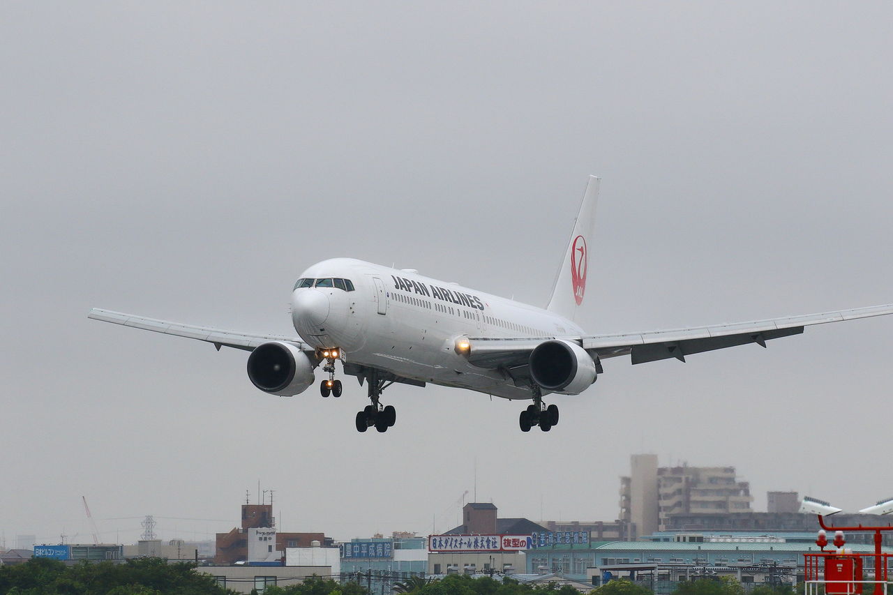 イメージ 6