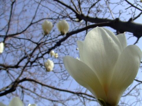 日本人｢宗教はなんかやだ！でも占いは好き！｣