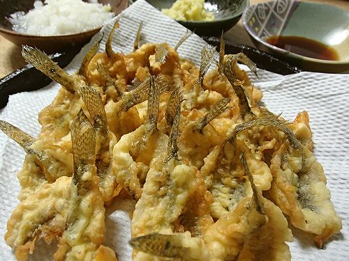 ハゼの天ぷらを喰う 新 日々凡々 歩いて行こう