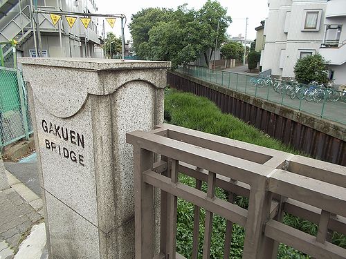 練馬区南大泉 白子川を歩く 最上流 比丘尼橋 新 日々凡々 歩いて行こう