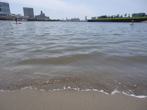 港区台場 江東区有明を歩く 風に吹かれてお台場辺 1 2 新 日々凡々 歩いて行こう