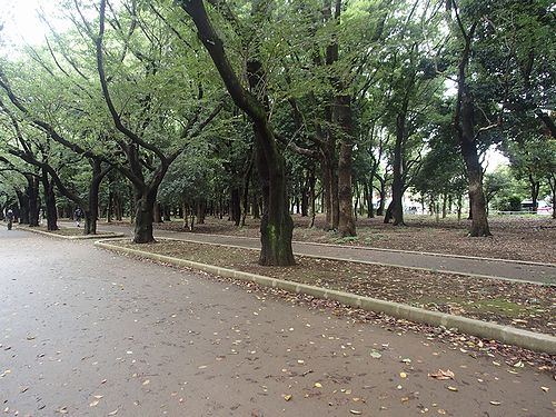 練馬区光が丘を歩く 光が丘公園 新 日々凡々 歩いて行こう 練馬区光が丘を歩く 光が丘公園 新 日々凡々 歩いて行こう