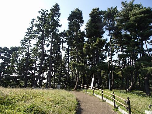大田区鵜の木を歩く 鵜の木松山公園 新 日々凡々 歩いて行こう