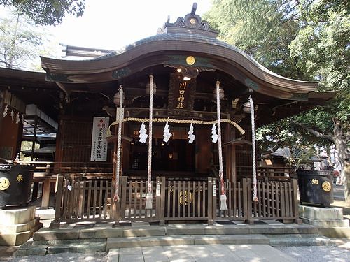 花散らし 新 日々凡々 歩いて行こう 花散らし 新 日々凡々 歩いて行こう