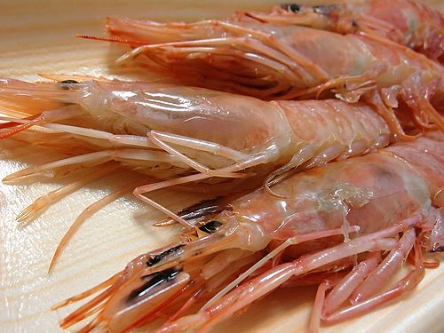 赤エビ塩焼きをつまむ 新 日々凡々 歩いて行こう 赤エビ塩焼きをつまむ 新 日々凡々 歩いて行こう