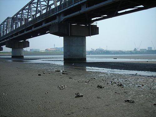 市川市本行徳 江戸川河口右岸を歩く 新 日々凡々 歩いて行こう 市川市本行徳 江戸川河口右岸を歩く 新 日々凡々 歩いて行こう