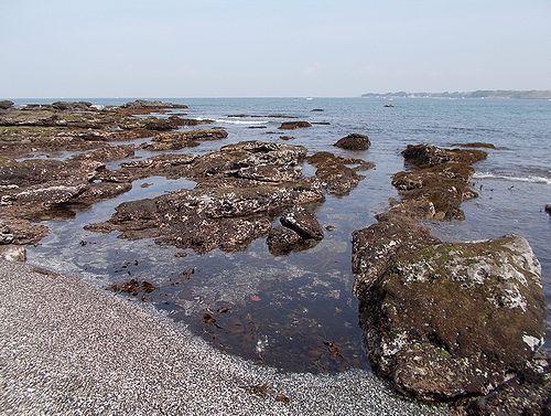 三浦市初声町三戸 三戸浜堤防で遊び釣り 新 日々凡々 歩いて行こう