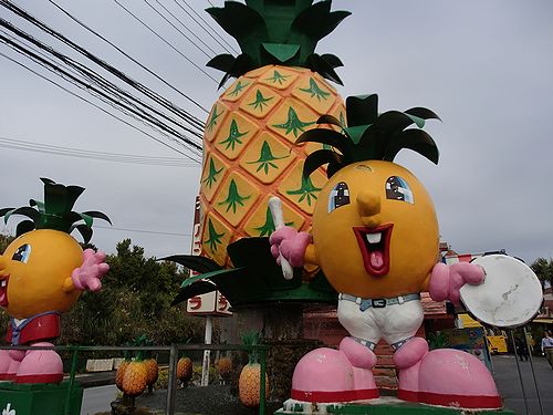 名護市為又を歩く ナゴパイナップルパーク 新 日々凡々 歩いて行こう 名護市為又を歩く ナゴパイナップルパーク 新 日々凡々 歩いて行こう