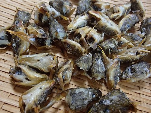 ハゼ正月・・とりあえず雑煮かな? : 新・日々凡々、歩いて行こう