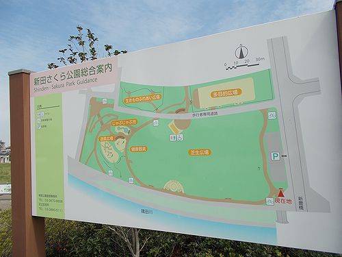 足立区新田を歩く 新田さくら公園 新 日々凡々 歩いて行こう 足立区新田を歩く 新田さくら公園 新 日々凡々 歩いて行こう