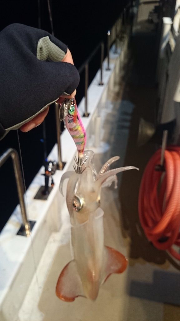 小浜マイカ イカメタル 新たなパターン発見 Headland45