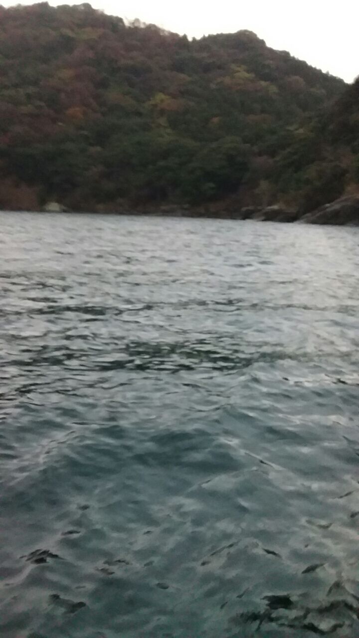 沖筏ティップランエギング Headland45