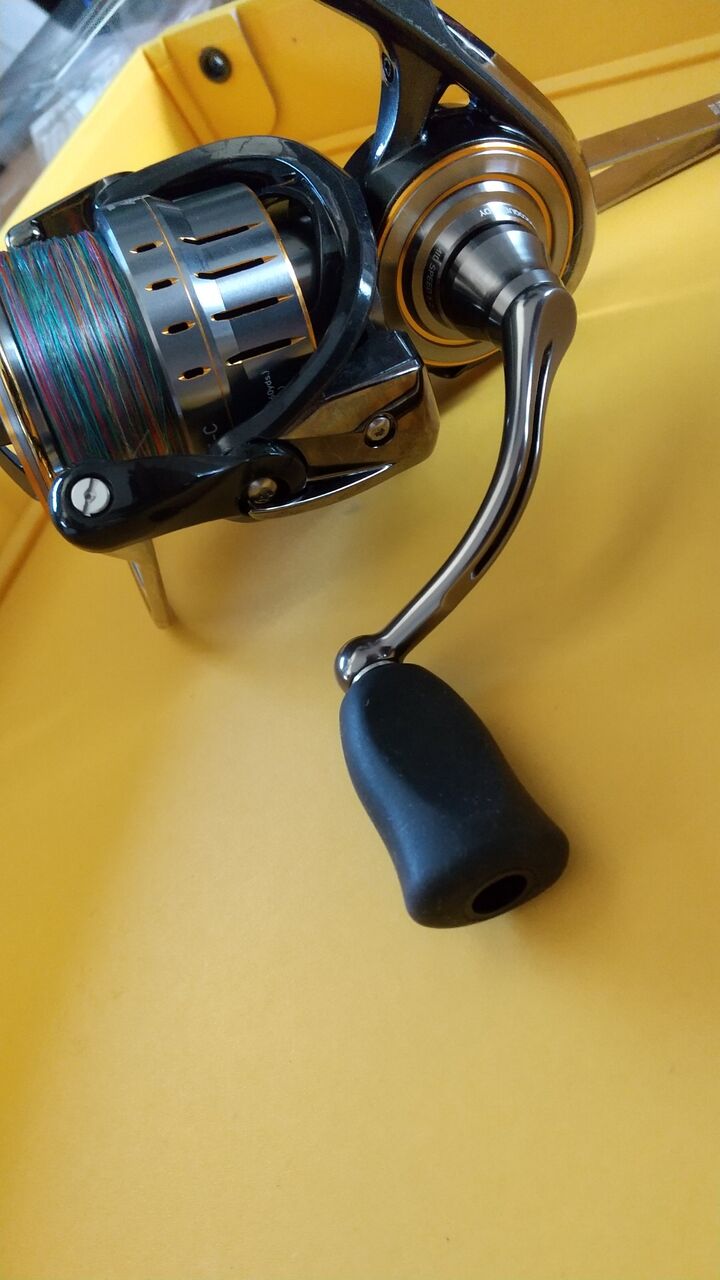 Airlity 21カルディア3000番シリーズ パーツカスタマイズ Headland45