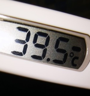 IMG_20201018_001133 (2)