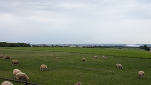 PXL_20250817_000902514