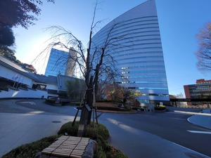 20201220_094929